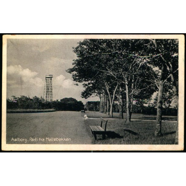 Aalborg - Parti fra Mllebakken - Stender Aa 341 - Brugt