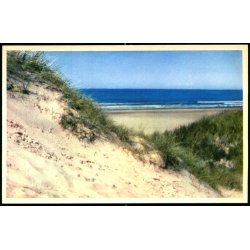 S�ndervig Klit og Hav - Nr. 2 - Ubrugt