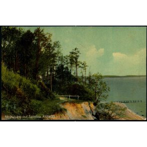 Aarhus - Strandparti ved Silistria - H.A. Ebbesen 142 - Brugt