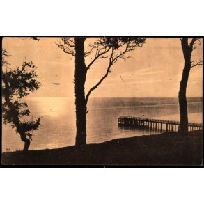 Parti fra Varna - Maaneskin - W&M u/n - Brugt