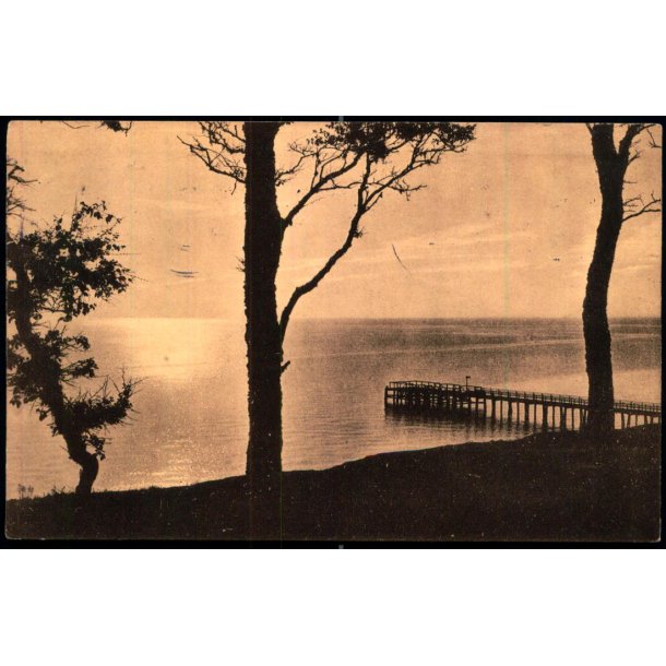 Parti fra Varna - Maaneskin - W&M u/n - Brugt