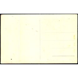 Silkeborg - Fotokort 291 - Ubrugt