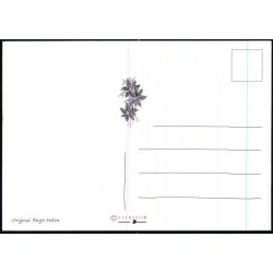 Birgit Helen - Eliasson u/n - Ubrugt