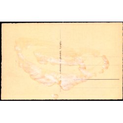 Lyngby - Fra Hovedgaden med Kirken - Petersens Bogh. u/n