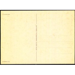 Julianehb - Hotel Arctic u/n - Ubrugt