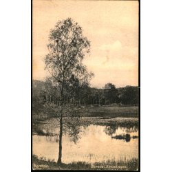 Borres i Almindingen - Colbergs Bogh. u/n - Brugt