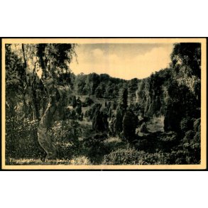 Tisvilde Hegn - Paradisdalen - Rudolf Olsen 351 - Ubrugt