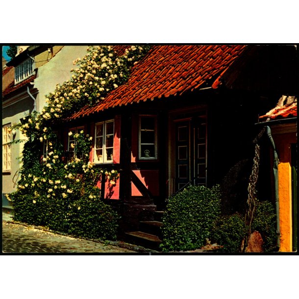 "�sterlide" 1730 - �stergade 9 - �r�sk�bing - Creutz Bogh. 143 523 040 - Ubrugt