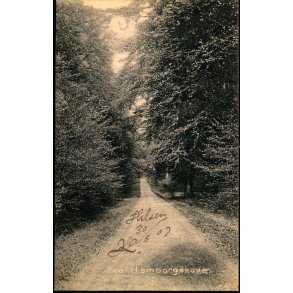 Fra Hamborgskoven -  Stender 5738 - Brugt