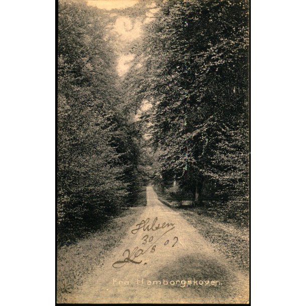 Fra Hamborgskoven -  Stender 5738 - Brugt