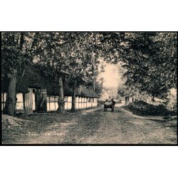 Tisvilde Gade  - Albert Jensens Bogh. 8015 - Ubrugt