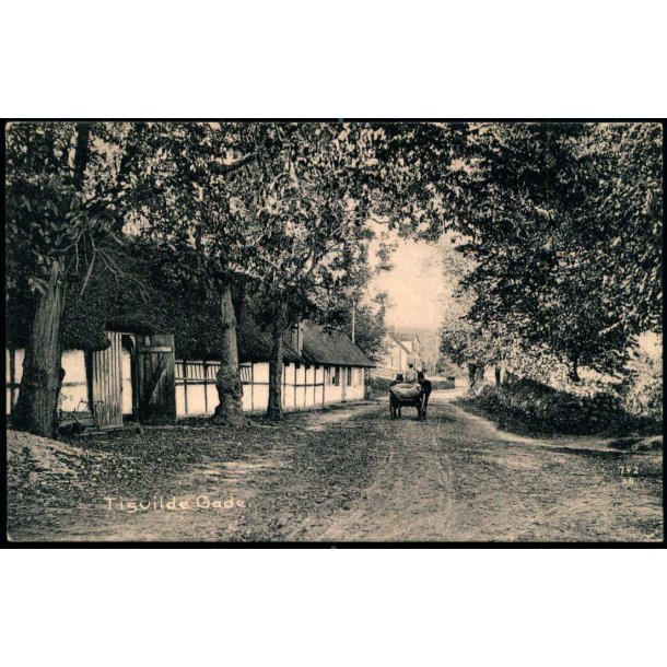 Tisvilde Gade  - Albert Jensens Bogh. 8015 - Ubrugt