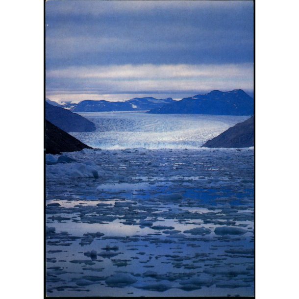 Akuliaruseq isbr ved Narsarsuaq - Sydgrnland - KGH 31/91 - Ubrugt