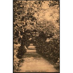 Aarhus - Hulvejen ved Silistria - J.J.N. 3211 - Ubrugt