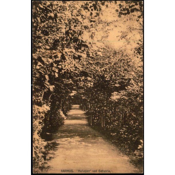 Aarhus - Hulvejen ved Silistria - J.J.N. 3211 - Ubrugt