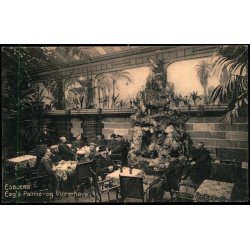 Esbjerg - Eeg`s Palme og Vinterhave - Dalgaard Olsens Bogh. 7905 - Brugt