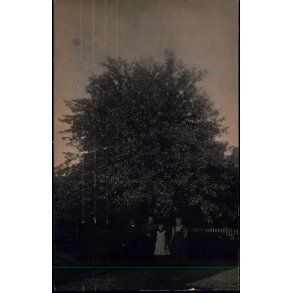 Esbjerg - Fotokort 6 - 10 - u/n - Brugt