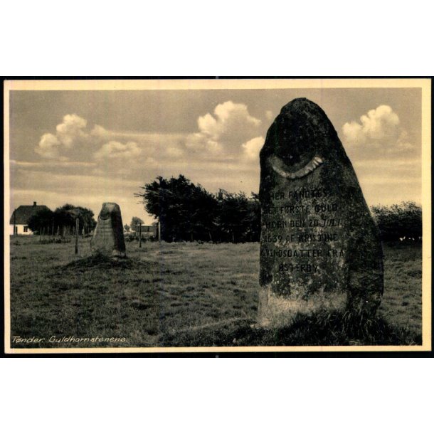 T�nder - Guldhornstenene - Stender 44 - Ubrugt
