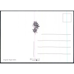 Birgit Helen - Eliasson u/n - Ubrugt