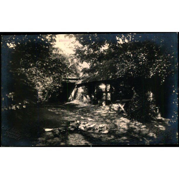 Ebeltoft - Fotokort EDV. Monsrud u/n - Ubrugt