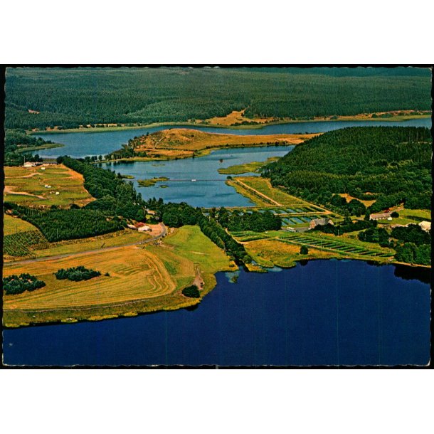 R�rb�k S� - Focus Film 143 707 003 - Brugt