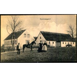 Dyremosegaard - Poulsen 90283 - Ubrugt