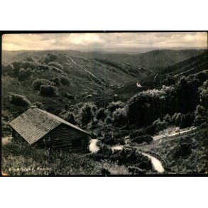 Blokhuset - Rebild - Eneret 89474 - Brugt