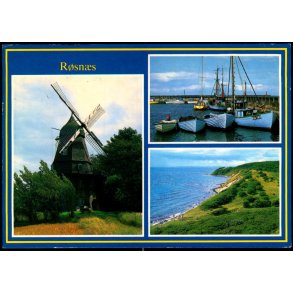 R�sn�s - Trojaborgs Forlag KAL 18 - Brugt