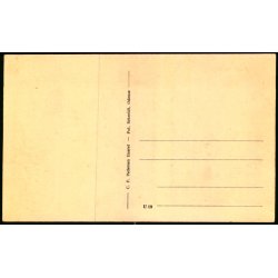 Parti fra Espe - C.F. Pedersen 19 - Ubrugt