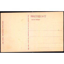 Udsigt over Tisvilde Leje - Albert Jensens Bogh. 8006