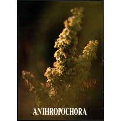 Anthropochora - Postverk Froya u/n - Ubrugt