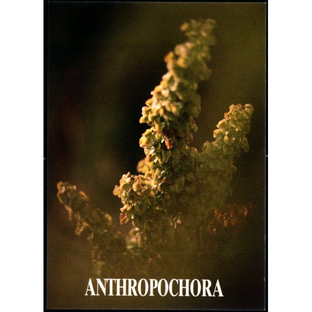 Anthropochora - Postverk Froya u/n - Ubrugt