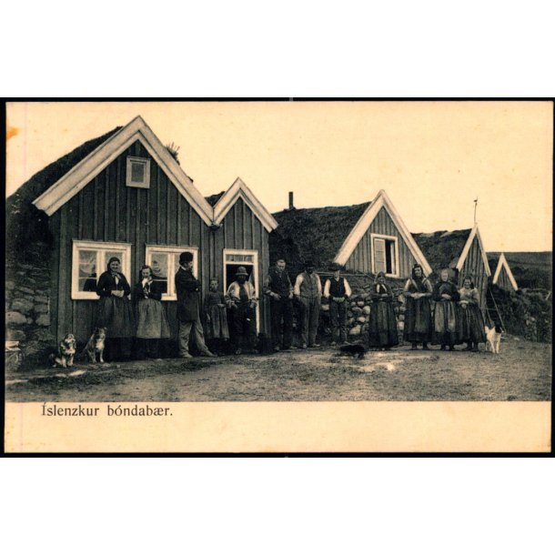 Islenzkur b&ograve;ndab�r - &Ugrave;gt: Finsen &amp; Johnson 5236 - Ubrugt