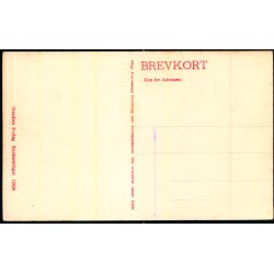 Nyk�bing F. - Tv�rgade - Stender 12424 - Ubrugt