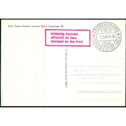 Prinsesse Benedikte og prins Richard - K. Ditlevsen 1968 - 13 - Brugt