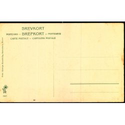 Faaborg - Vesterport -  Peter Alstrup 3867 - Ubrugt