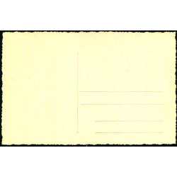 Antwerpen - S/S "PENNLAND" -  De La Red Star Line - Fotokort 66 d - Ubrugt