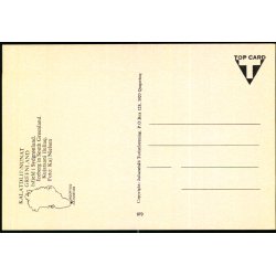 Isfjeld i Sydgrndland - Julianehb Turist 970 - Ubrugt