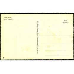 T�nder Kirke - Nordre Sideskib - J.N. Jefsens Forlag 52186 - Ubrugt