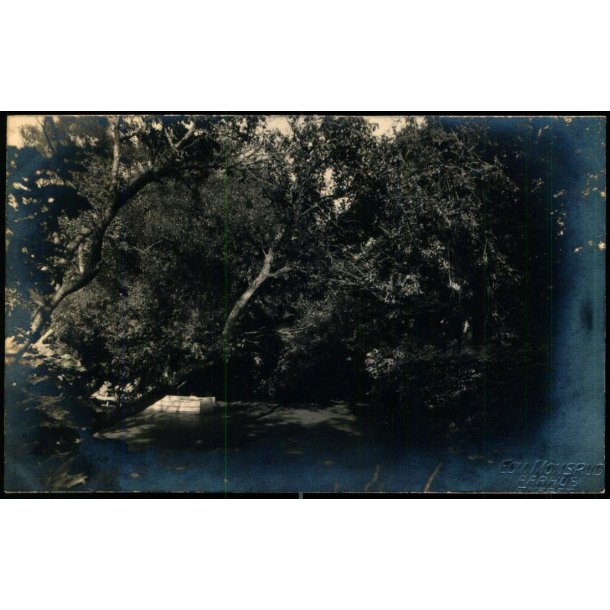  Ebeltoft - Fotokort EDV. Monsrud u/n - Ubrugt