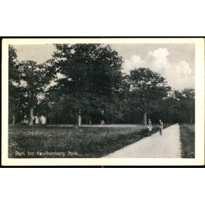 Parti fra Knuthenborg Park. - Stender N. 71 - Ubrugt