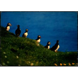 Lundar - Postverk Froya u/n - Brugt