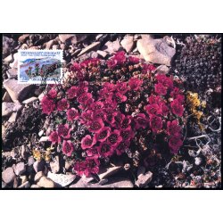 Purpur-Stenbrk - Grnlands Post 34/92 - Brugt