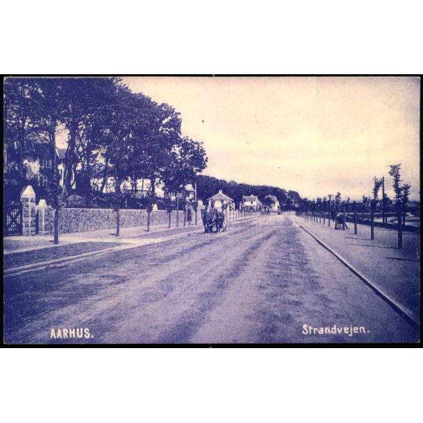 Aarhus - Strandvejen - Bertelsens Bogh. 250 - Brugt