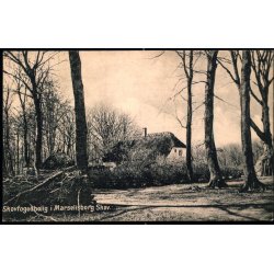 Skovfogedbolig i Marselisborg Skov - Alex Vincent 3139 - Ubrugt