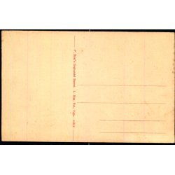 Gadeparti fra Sdr. Felding - Broen - P. H�st 41516 - Ubrugt