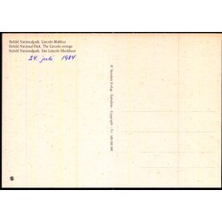 Rebild Nationalpark - Lincoln Blokhus- Stender 149 619 001 - Ubrugt