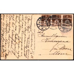 Lolland - Flintestenshuset i Knuthenborg Park. - Schmidt Y 55 - Brugt