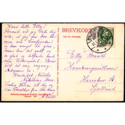 Nyk�bing Mors - �erne i  Anl�get - Niels S�ndergaards Bogh. 130 - Brugt