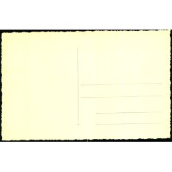 Antwerpen - S:S. "ELISABETHVILLE" - Compagnie Belge Maritime du Congo -  Fotokort 65e - Ubrugt